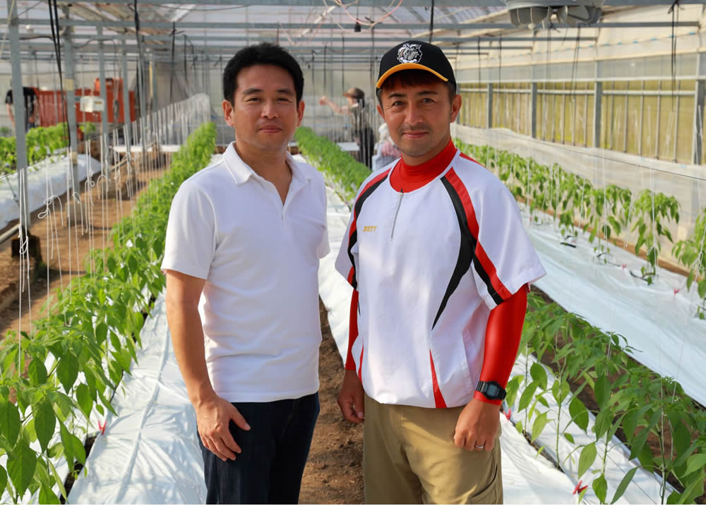 Aitosa株式会社の歩みとともに、高知の農業の新しいかたちづくりを進めてきました。