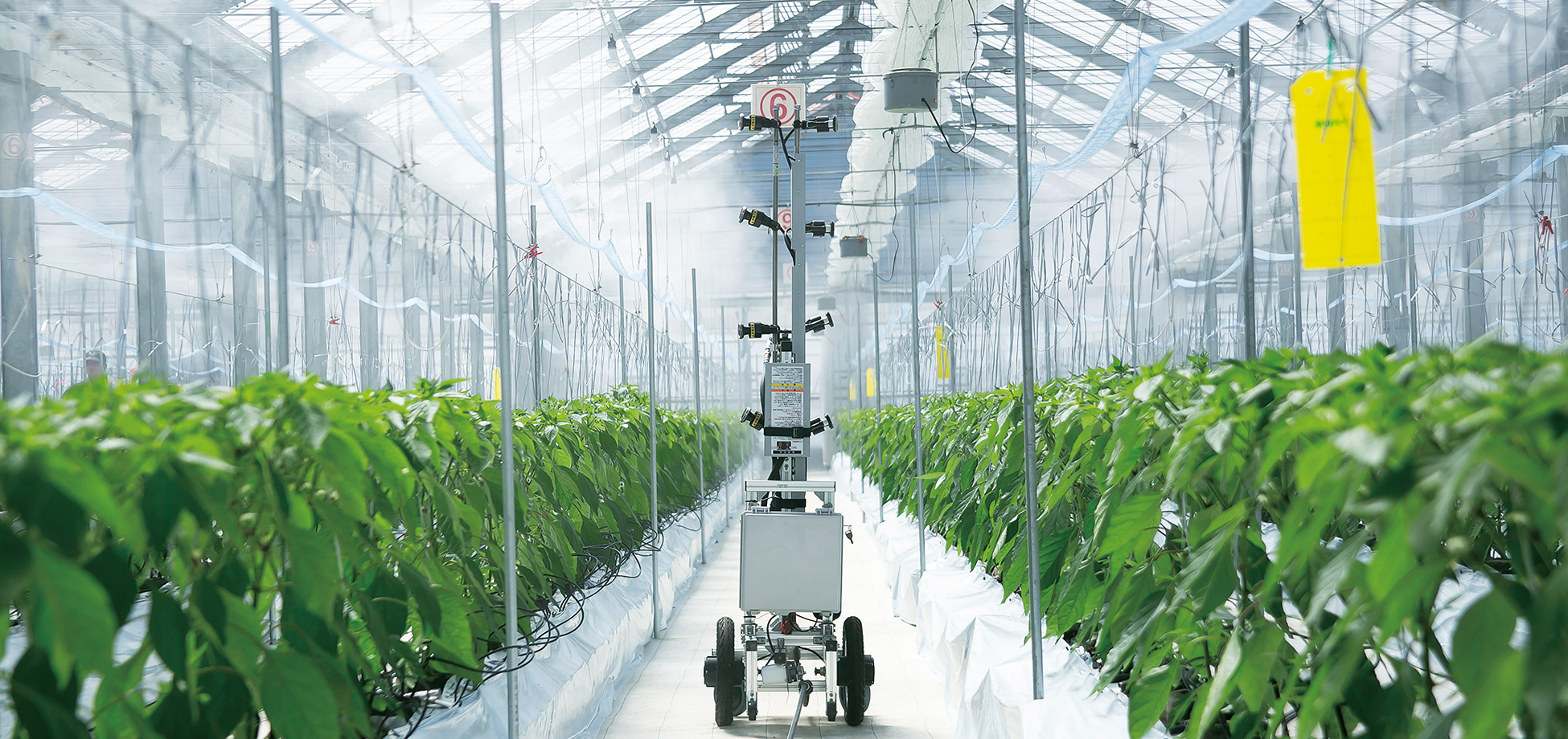 Aitosa（アイトサ）　未来の光に種をまく3