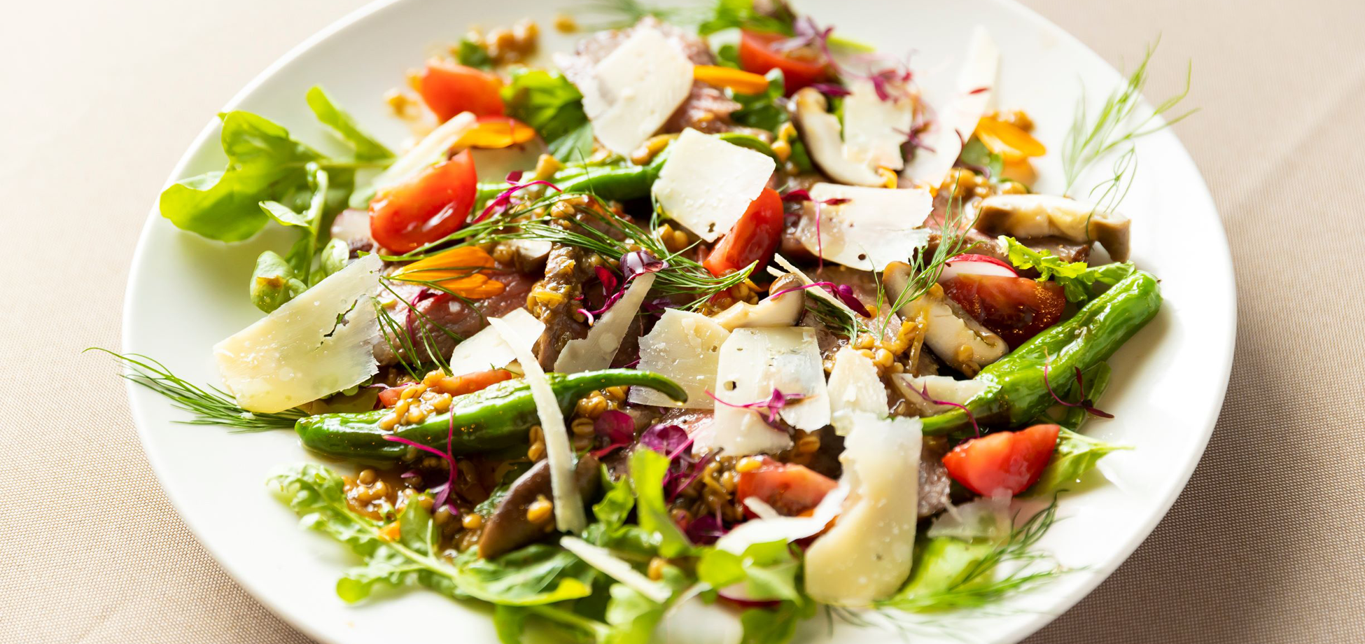 Aitosa（アイトサ）　未来の光に種をまく6